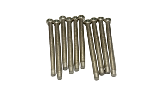 PS2A Fixing Screws for PS2 50mm 10 Pack