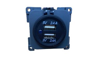 PS13A Double USB Socket